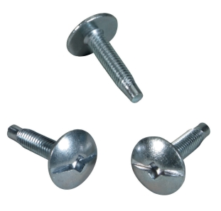 Screws pic