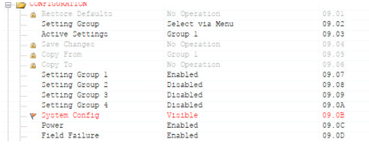 Example Setting Config
