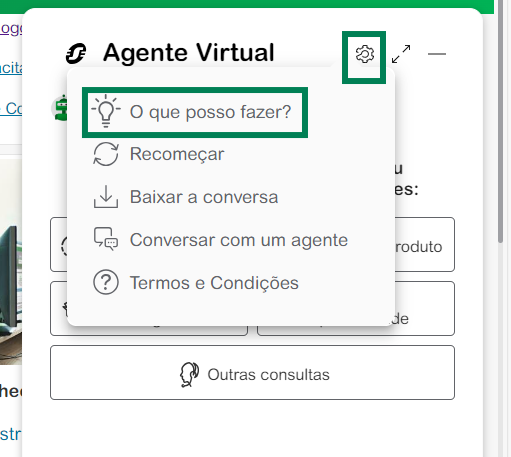 O que Posso Fazer no Chat Agente Virtual