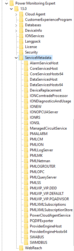 ServiceMetadata showing the PME services in Registry Editor