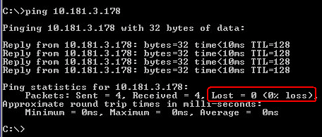 PING Terminal Window