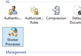 IIS Manager Worker Processes Icon