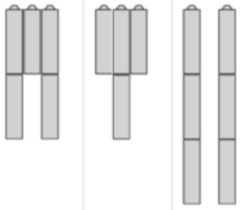 Maximum contact organization for selector switch head